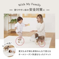 doridori ペットフロアマット2枚セットの画像