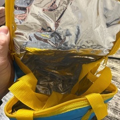 ポケモンクーラーバックの画像