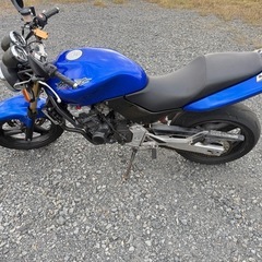 ホーネット250 MC31の画像