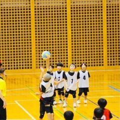 公式ドッジボール　団員募集‼️の画像