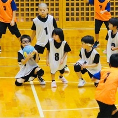 公式ドッジボール　団員募集‼️の画像