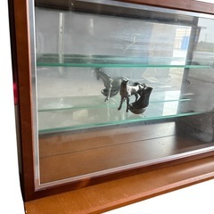 カルトーネ AL-A 塩川光明堂 W562×H365×D175の画像