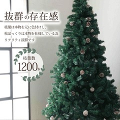 クリスマスツリーの画像