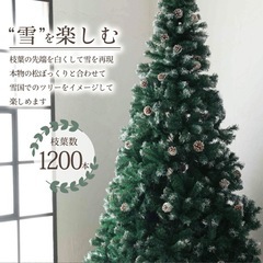 クリスマスツリーの画像