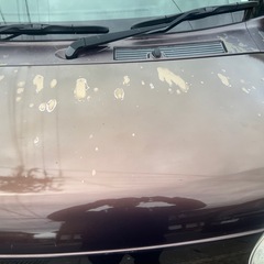 ダイハツミラココアの画像