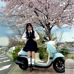 バイクの画像