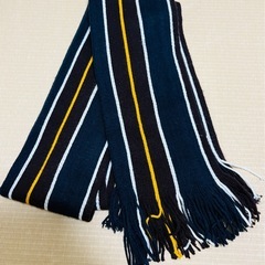 メンズ　Lサイズセットマフラー付きの画像