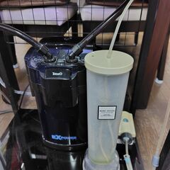 海水魚及び水槽一式（魚・サンゴ等生体・ライブロック他）お譲りします！の画像