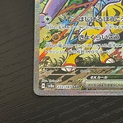 ポケモンカード　タケルライコex（SAR）の画像