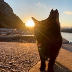 🌟一緒にウォーキングしませんか？^^🌟