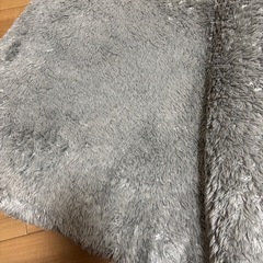 オシャレ　グレーカーペットの画像