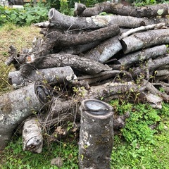 薪（薪ストーブや焚き火用）差し上げます！の画像