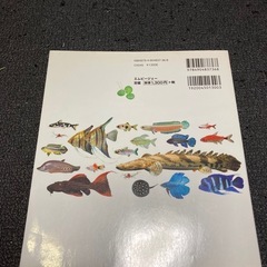 はじめての熱帯魚飼育 おすすめ魚カタログの画像