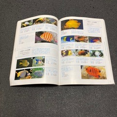 海水魚が飼いたい!! テトラ スナッキーの画像