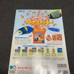 海水魚が飼いたい!! テトラ スナッキーの画像