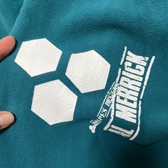 Channel Islands アルメリック　ケース　6.0 FISH 未使用の画像