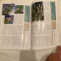 山野草ハンドブックの画像