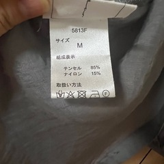 シアーシャツの画像