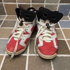 ジョーダン6 24㎝の画像
