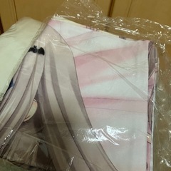 クドリャフカ 抱き枕カバー＋クッション セットの画像