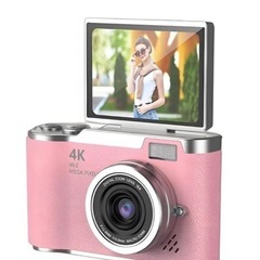 4K対応デジタルカメラの画像