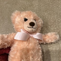 まとめての画像