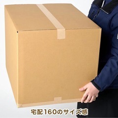 ダンボール 18枚 160サイズ
の画像