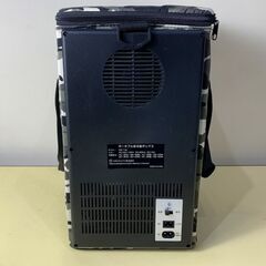 ポータブル　電動　保温　冷温　ボックス　CAVジャパン　CW-14L　通電確認済　ACコードのみしか有りませんの画像