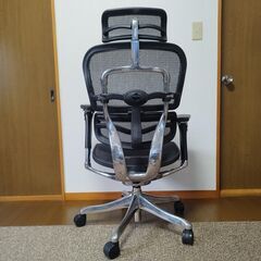 【極美品】Ergohuman Pro エルゴヒューマン プロ エラストメリックメッシュ ブラック 前傾チルト機能 オフィスチェア ゲーミングチェア デスクチェアの画像