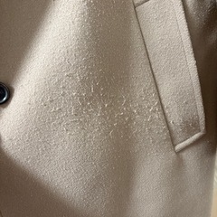 GU 今年購入 コートの画像