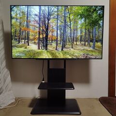 【美品】TOSHIBA 東芝 4K 有機ELテレビ REGZA 55X830 2019年 レグザ 55インチ 55V型 4Kチューナー内蔵 テレビスタンドの画像