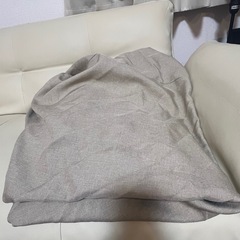 【11/15受渡し可】ソファ 2人掛け(カバー付き)の画像