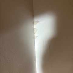 カラーボックス（白）の画像