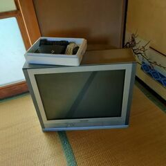 テレビ　11月15日土曜日10時から16時の画像