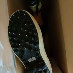 スパイクブーツ25ｃｍ前後？　11月15日土曜日10時から16時の画像