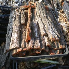 ■樹皮　無料　で差し上げます！1109の画像