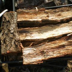 ■樹皮　無料　で差し上げます！1109の画像