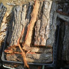 ■樹皮　無料　で差し上げます！1109の画像