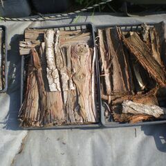 ■樹皮　無料　で差し上げます！1109の画像