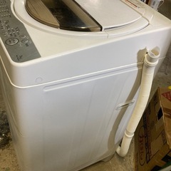 東芝全自動洗濯機 AW-7G8 7.0kg 2019年製 3ヶ月保証付の画像