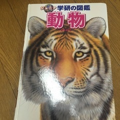 動物図鑑などの画像