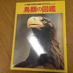 動物図鑑などの画像