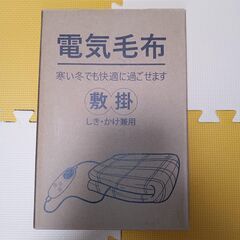 電気毛布 掛け敷き兼用 160×120cm　切り忘れ防止タイマー付き　節電 　洗濯可能　電気ブランケットの画像