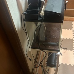 ②水槽フルセット✖️2早い者勝ちです！の画像