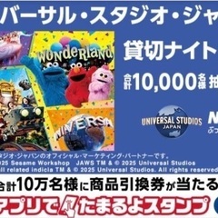 ユニバ　貸切ナイト　ペアの画像