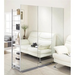 仕切り収納 ミラーパネル棚(ディノス)の画像