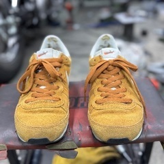 ■24cm レディース　NIKEの画像