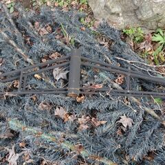 ジャンク品　屋外用　３ｍ　クリスマスツリー現状品の画像