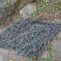 ジャンク品　屋外用　３ｍ　クリスマスツリー現状品の画像