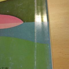 『花のない季節』石川達三　中公文庫の画像